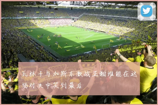 瓦林卡与加斯东激战正酣谁能在这场对决中笑到最后