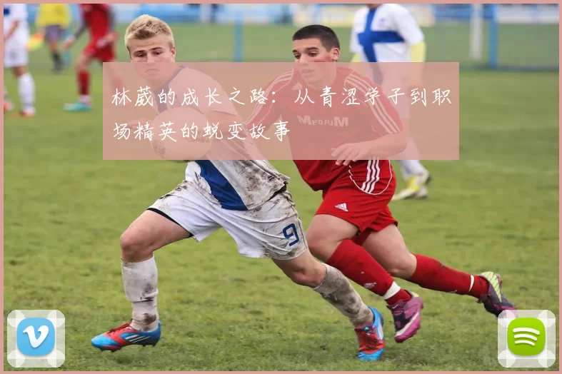 林葳的成长之路：从青涩学子到职场精英的蜕变故事